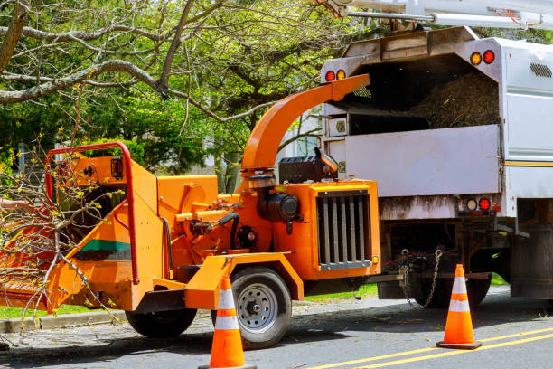 How Our Tree Care Process Works  in Kingsford Heights, IN